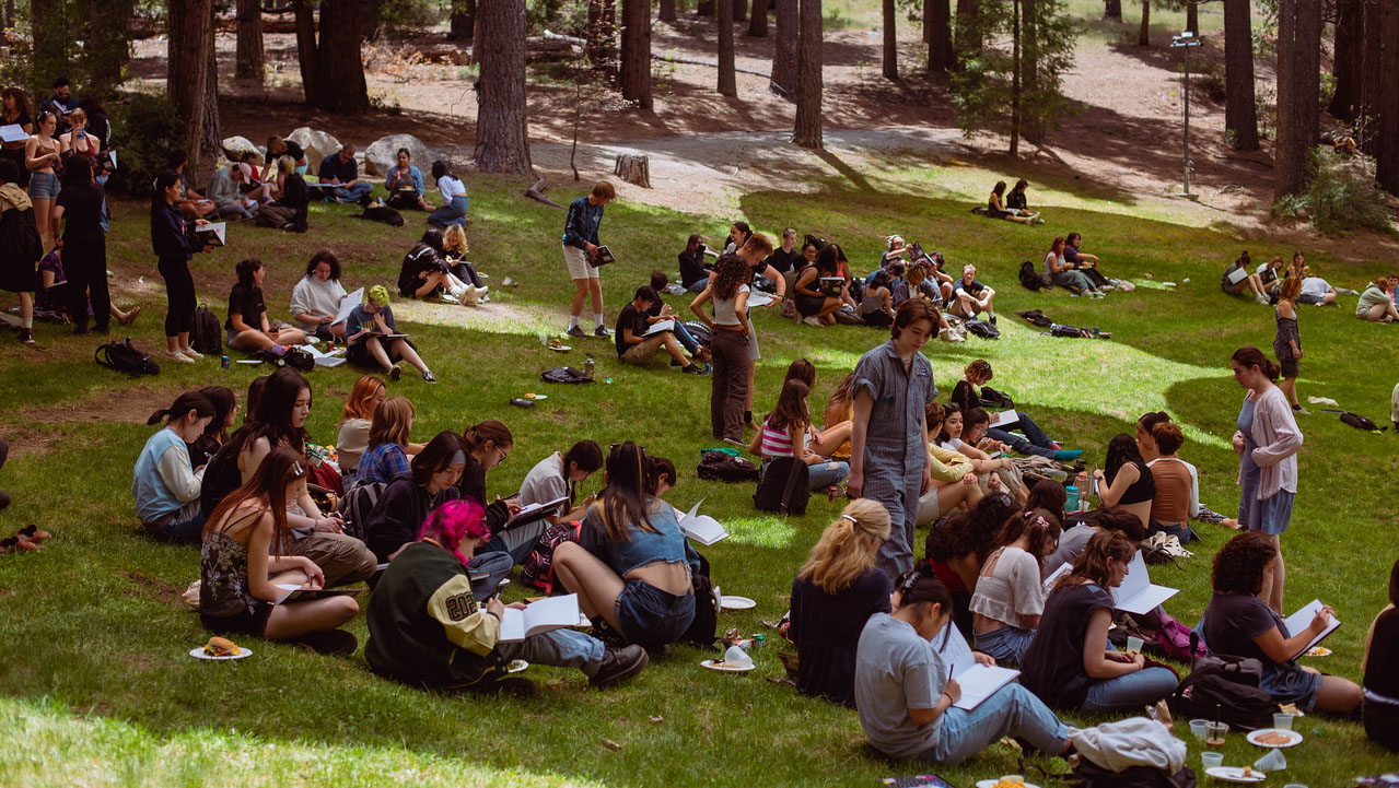 Students studying together on a campus lawn